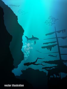 Beautiful And Dangerous Underwater World Stock Photos Beautiful And Dangerous Underwater World Stock Photos