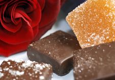 Sweet Rose Stock Photos Sweet Rose Stock Photos