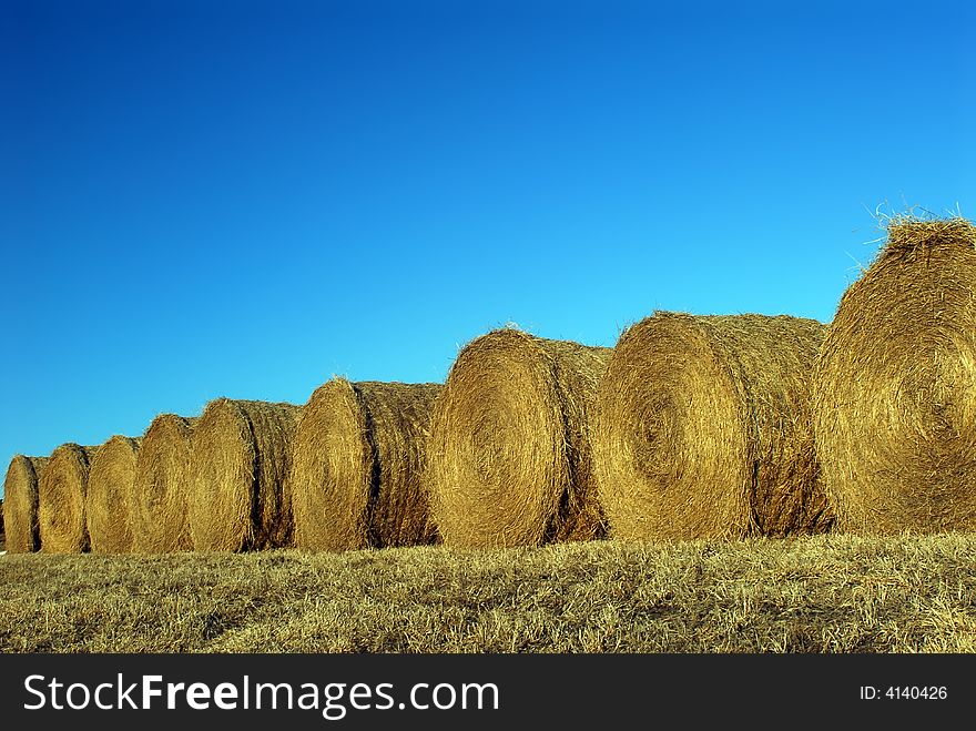 Round Bales Of Hay And Blue Sky