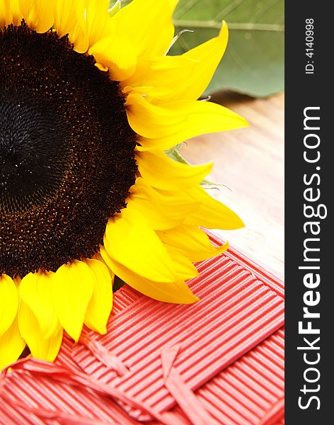 Sunflower and a red box on a wooden table