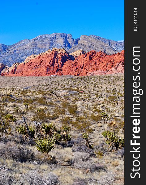 Picture of the Red Rock Canyon