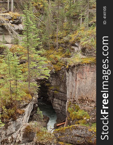 Maligne Canyon