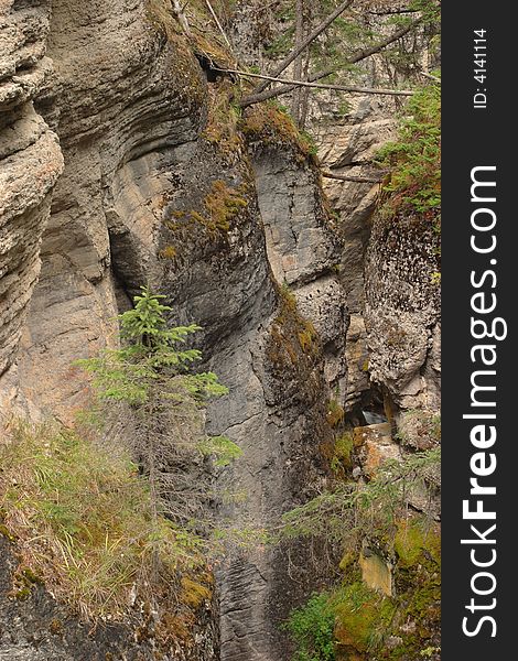 Maligne Canyon