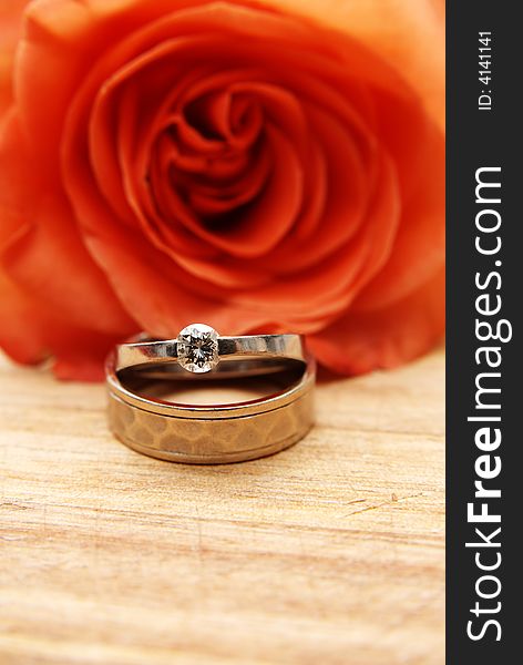 Wedding rings with orange rose in the background. Wedding rings with orange rose in the background