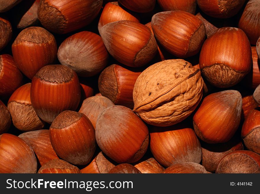 A walnut among many hazelnuts, suitable as a background. A walnut among many hazelnuts, suitable as a background.