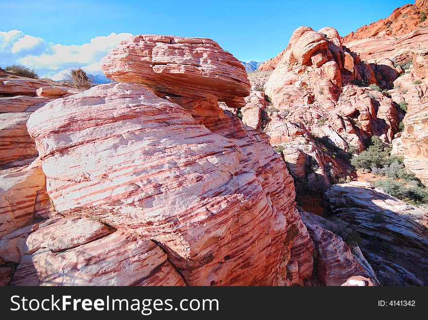 Huge bee hives shapes Red Rock