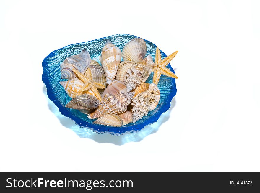 Exotic shells collection - scallops, clams, starfishs  in the blue bowl. White background. Exotic shells collection - scallops, clams, starfishs  in the blue bowl. White background.