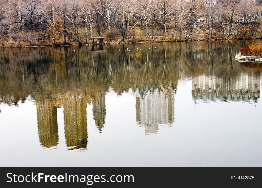 Reflections of buildings on pond in Central Park. Reflections of buildings on pond in Central Park