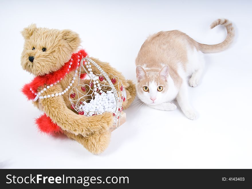 Teddy bear with valentine decorative basket with white beads and tabby cat. Teddy bear with valentine decorative basket with white beads and tabby cat
