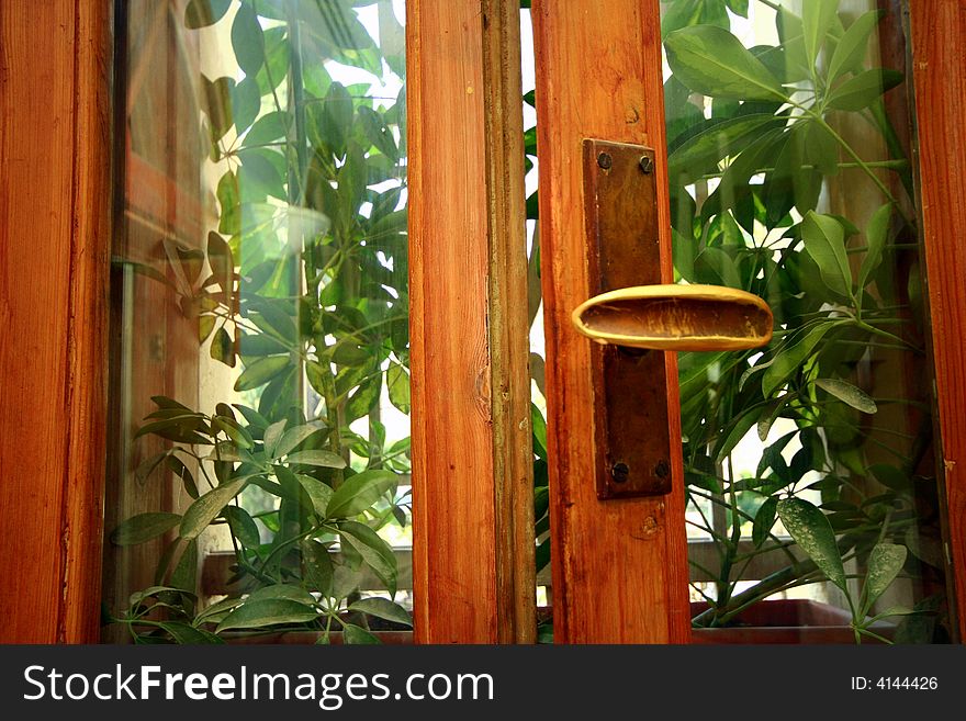 Picture of an open window with plants outside. Picture of an open window with plants outside
