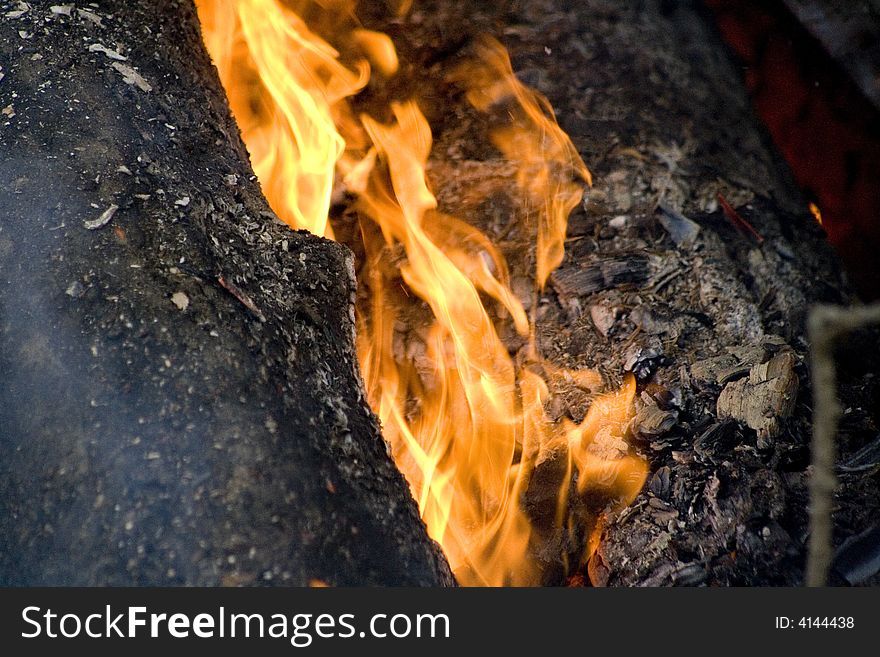 An old log slowly burns in a small burn pile. An old log slowly burns in a small burn pile.