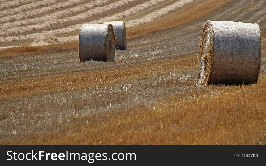 Straw bales on a stubble field