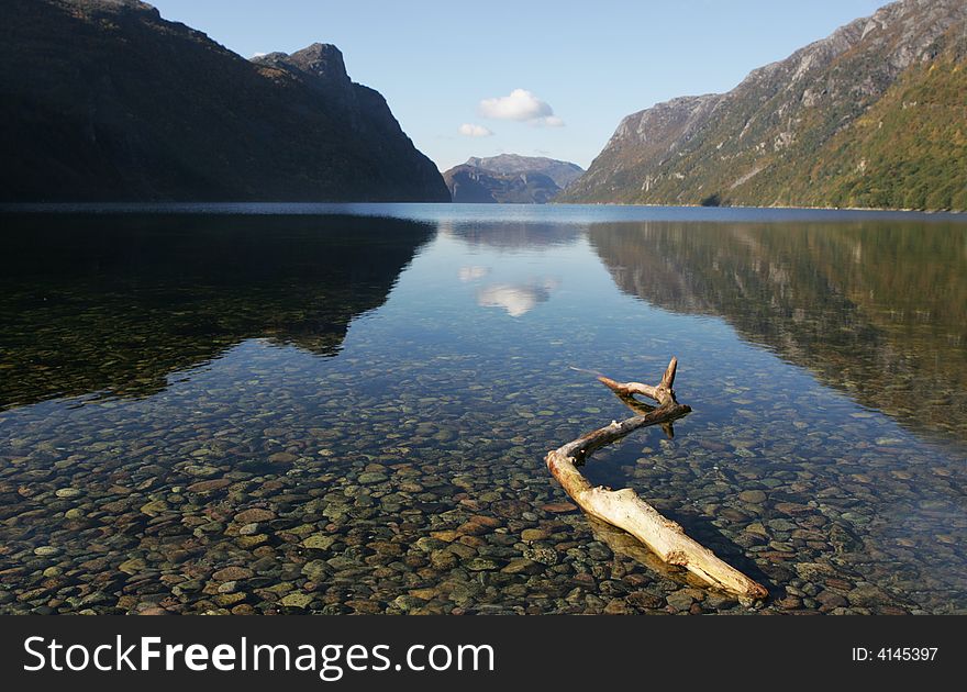 Frafjord landscape with a tree branch