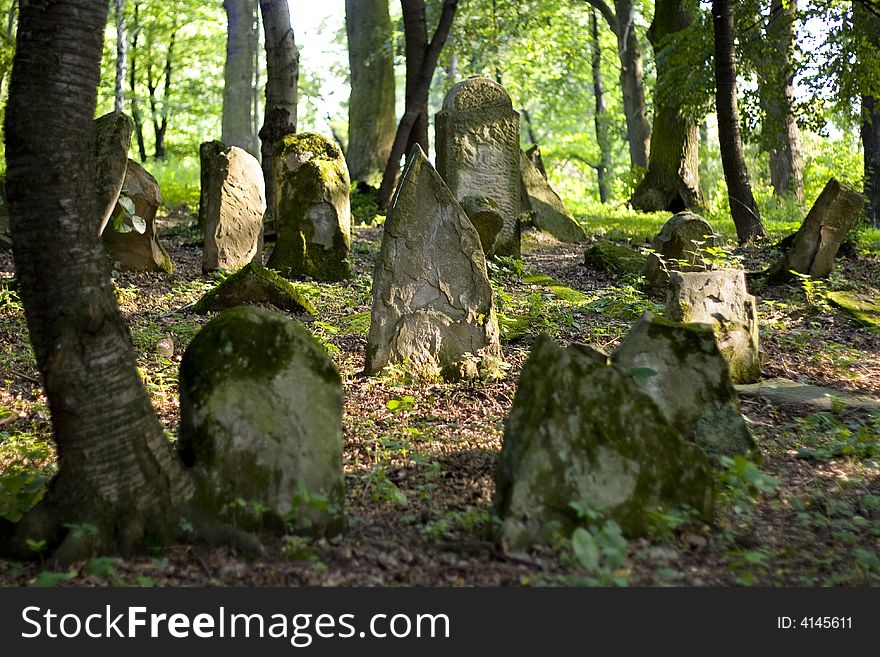 Old Jewish cemetery in Poland