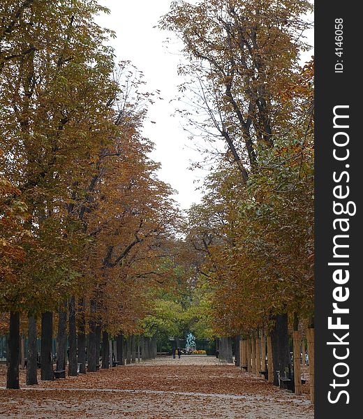 Trees show their Autumns colours in the Luxembourg Gardens, Paris. Trees show their Autumns colours in the Luxembourg Gardens, Paris