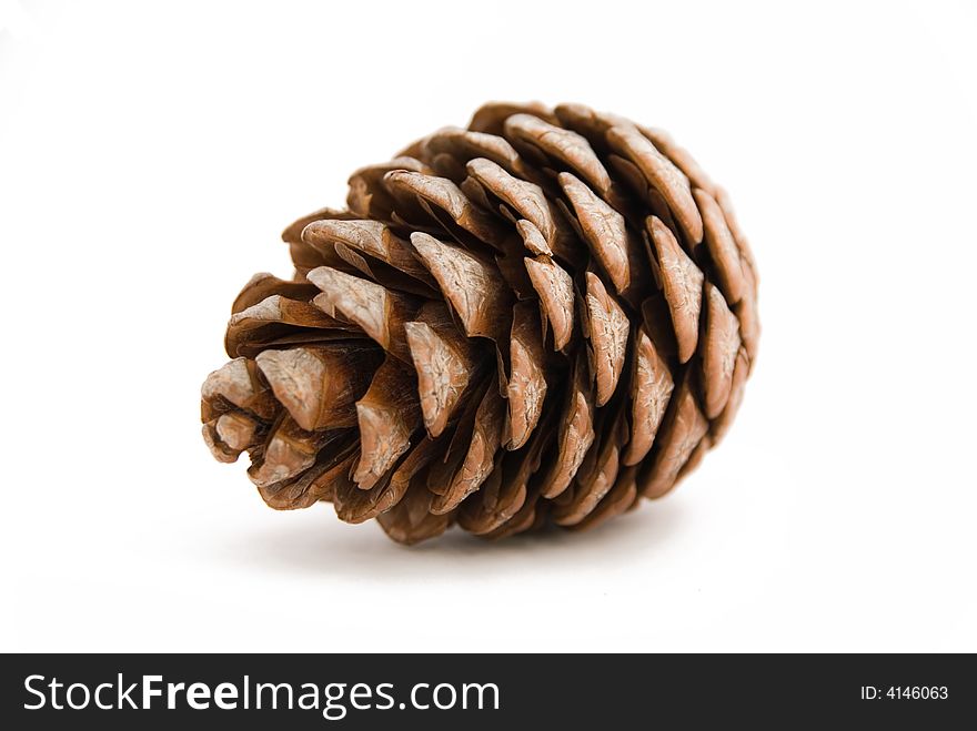 Isolated brown cone on a white background