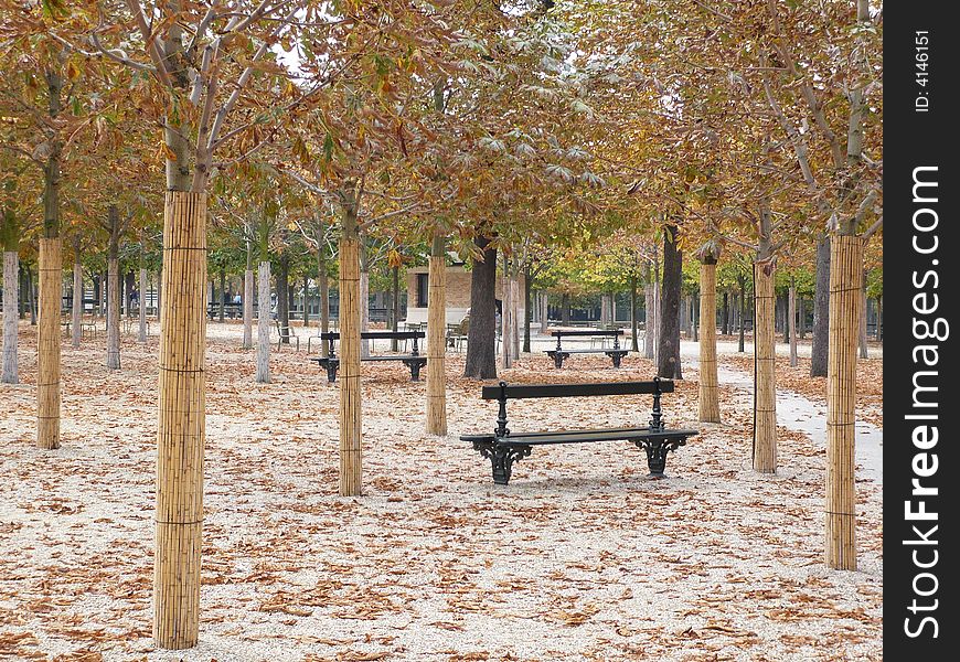 Trees show their Autumns colours in the Luxembourg Gardens, Paris. Trees show their Autumns colours in the Luxembourg Gardens, Paris