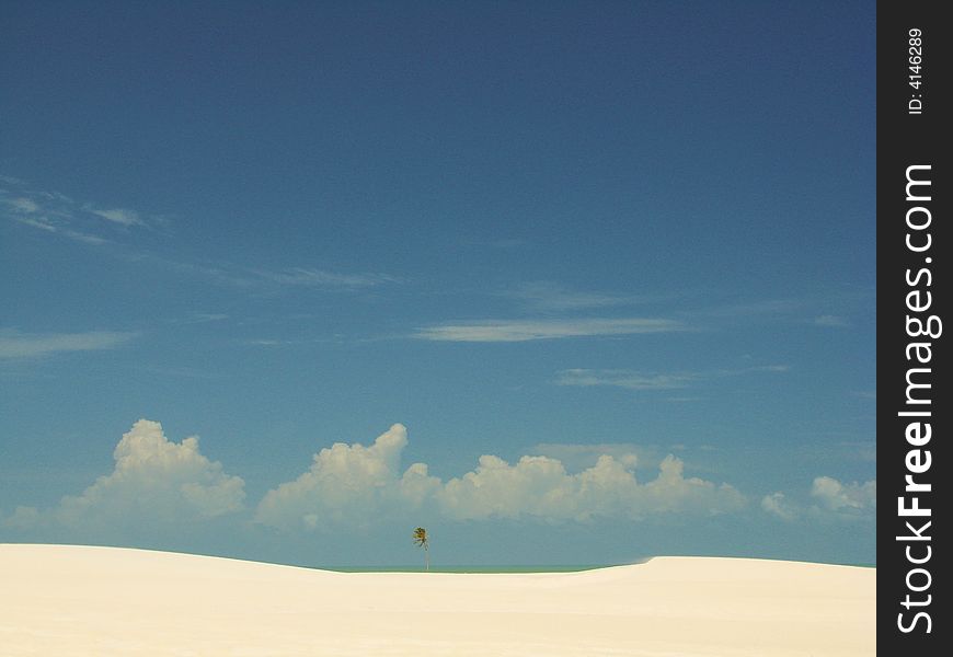 Landscape of Tatajuba Beach - Brazil. Landscape of Tatajuba Beach - Brazil