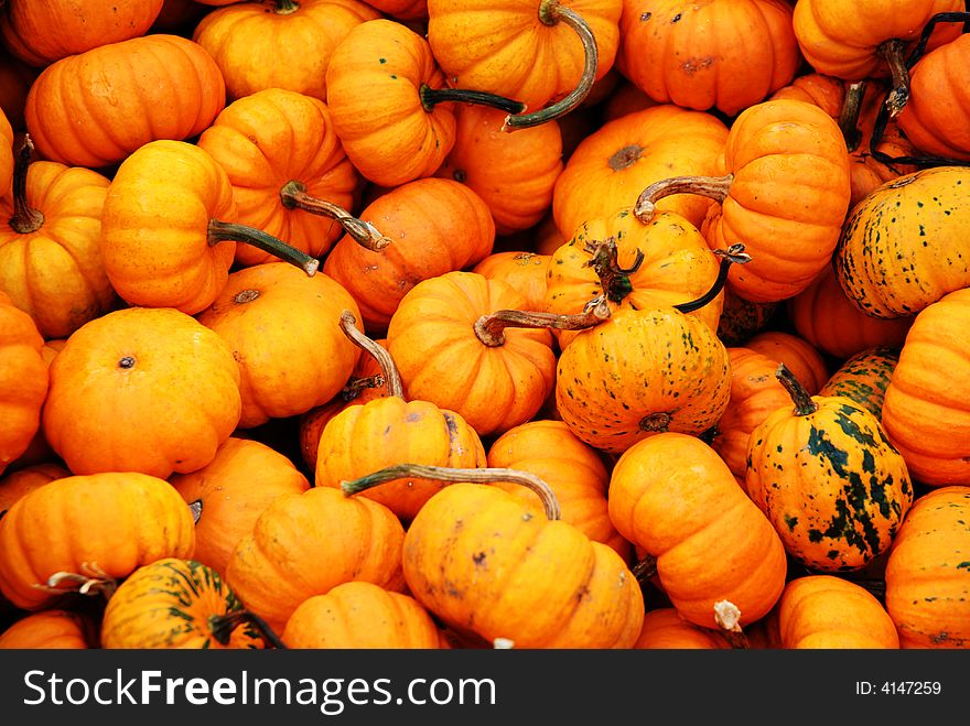 Bin of colourful miniature pumpkins on display at a farmer's market. Bin of colourful miniature pumpkins on display at a farmer's market