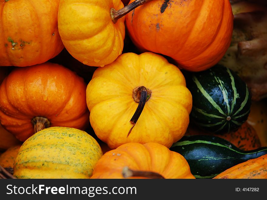 Autumn display of gourds and miniature pumpkins at a local farmers market. Autumn display of gourds and miniature pumpkins at a local farmers market