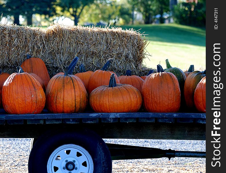 Flatbed with hay and large to medium sized pumpkins on roadside. Flatbed with hay and large to medium sized pumpkins on roadside