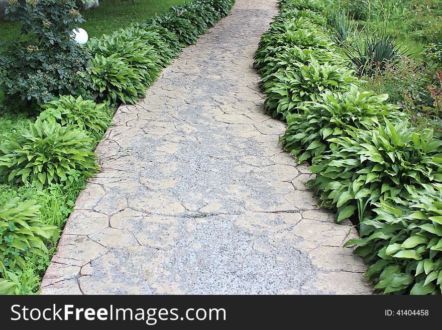 Footpath in the summer garden