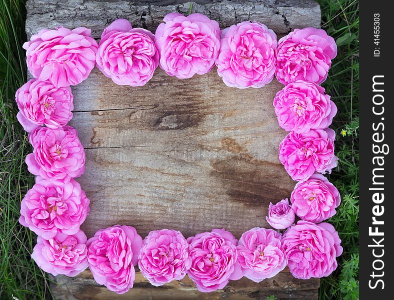 Frame made of pink tea-roses on wooden board. Frame made of pink tea-roses on wooden board