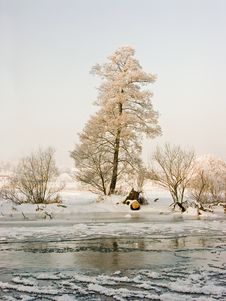 Frosted Tree Under River Royalty Free Stock Photography Frosted Tree Under River Royalty Free Stock Photography