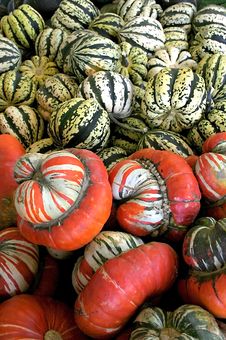 Different Pumpkins Stock Photo Different Pumpkins Stock Photo