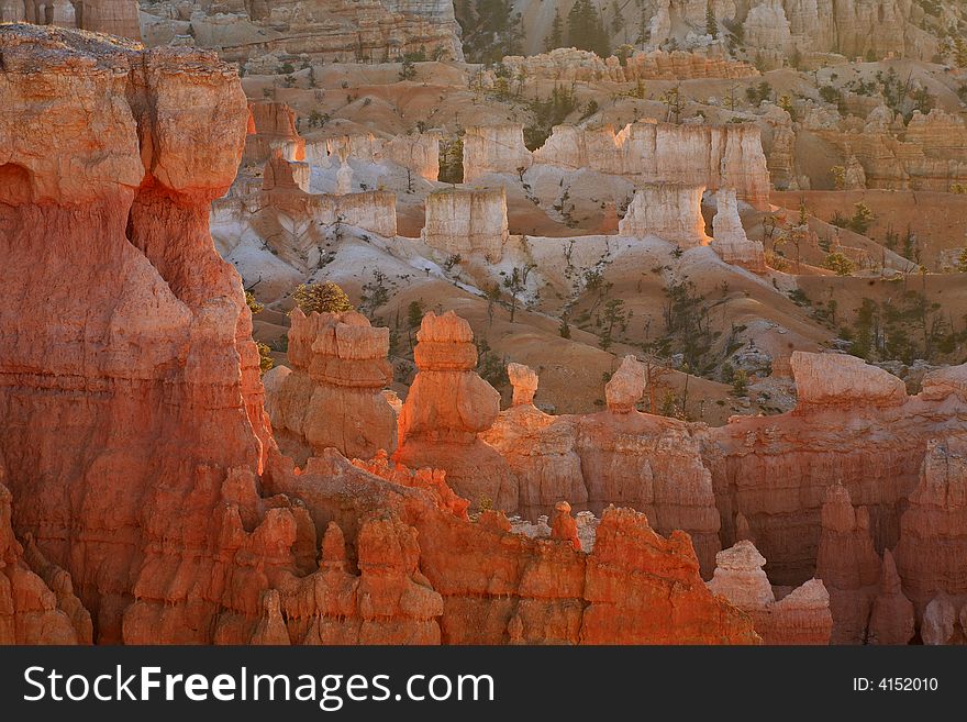 Sun rising on the Hoodoo's in the Amplitheatre of Bryce Canyon