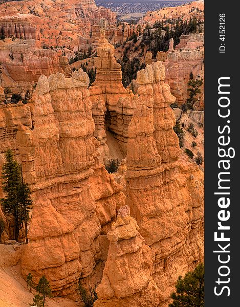 Hoodoo's in the amplitheatre in Bryce National Park in Utah