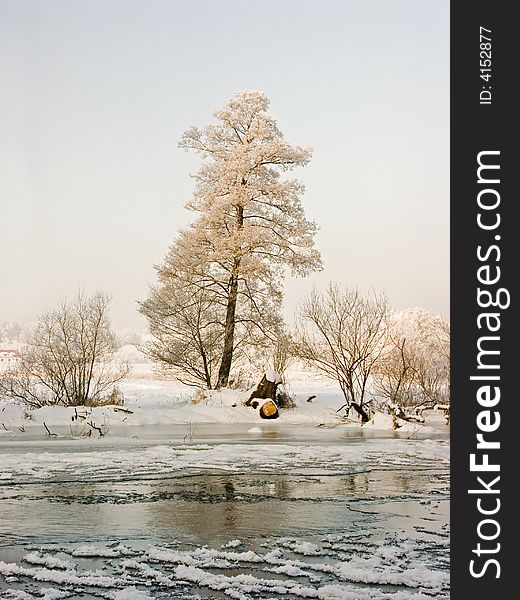 Frosted tree under river, sunny frosty day. Shooting two years ago.