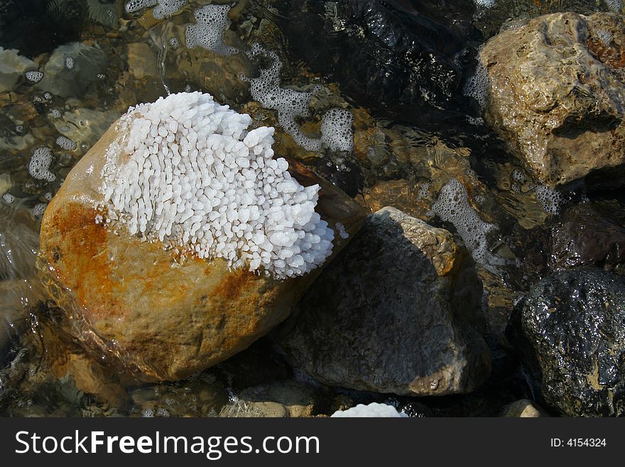 Dead Sea coast