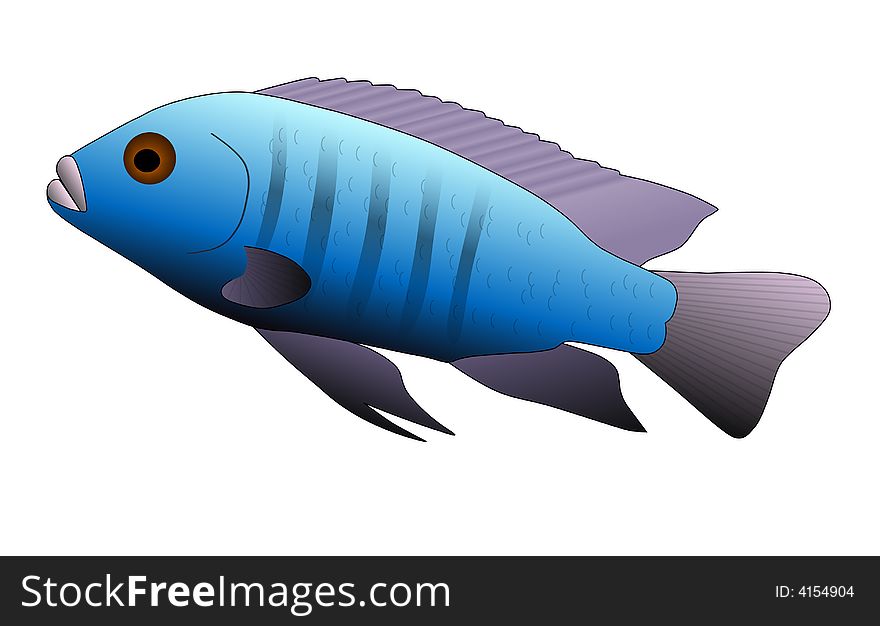 Malawi Fish