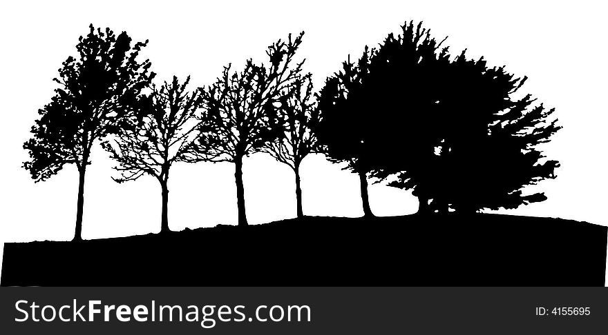 Vector tree isolated on white background