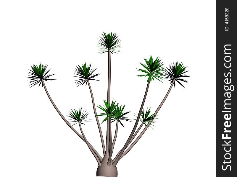 Yucca tree in modern design for you
