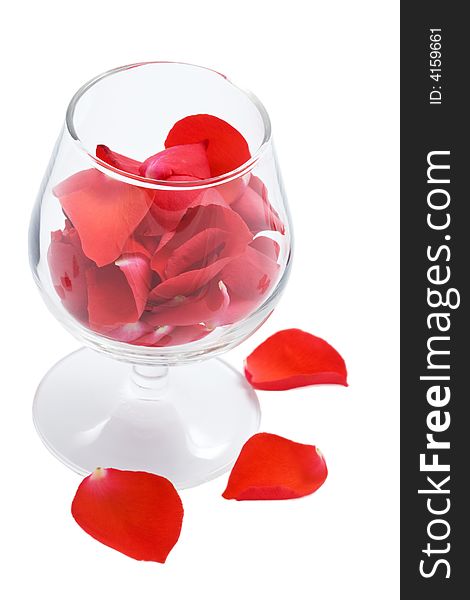 Rose petals in glass isolated