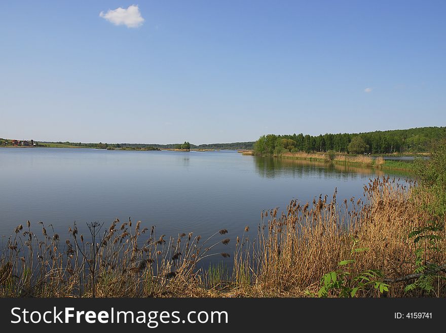 Forest lake in summer, green grass, blue sky