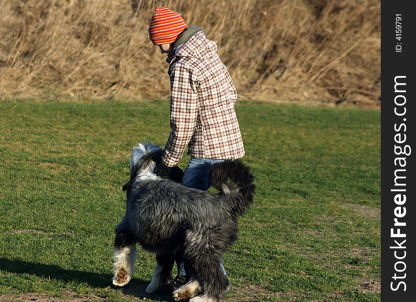 Dog, bearded collie, and girl playing for fun. Dog, bearded collie, and girl playing for fun