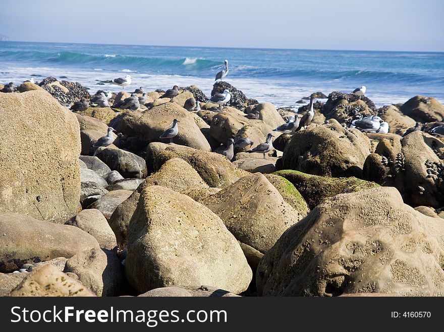 The California Ocean Beach View