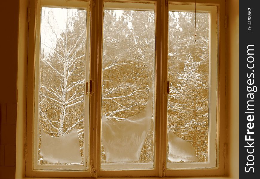 Looking throuh window on snow-covered forest. Looking throuh window on snow-covered forest.