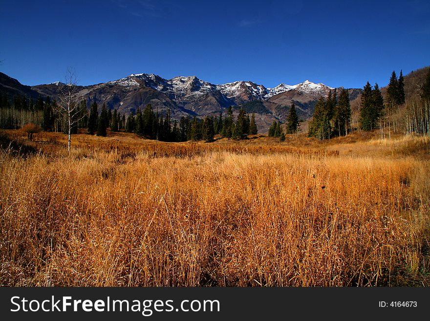 High Mountain Flat in the fall showing all the fall colors with mountains in the background. High Mountain Flat in the fall showing all the fall colors with mountains in the background