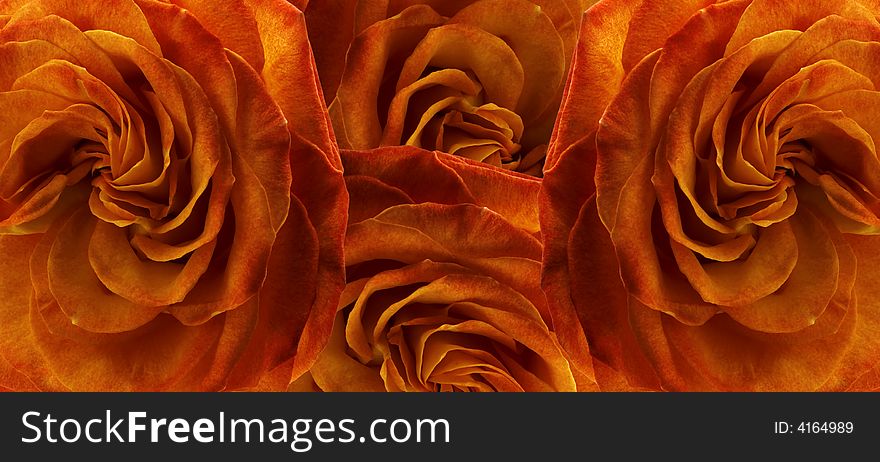 Abstract illustration. Decorative background, made from the colors of rose. Abstract illustration. Decorative background, made from the colors of rose.