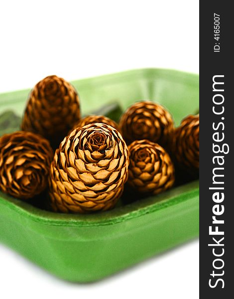 Pine cone isolated on the white background. Pine cone isolated on the white background