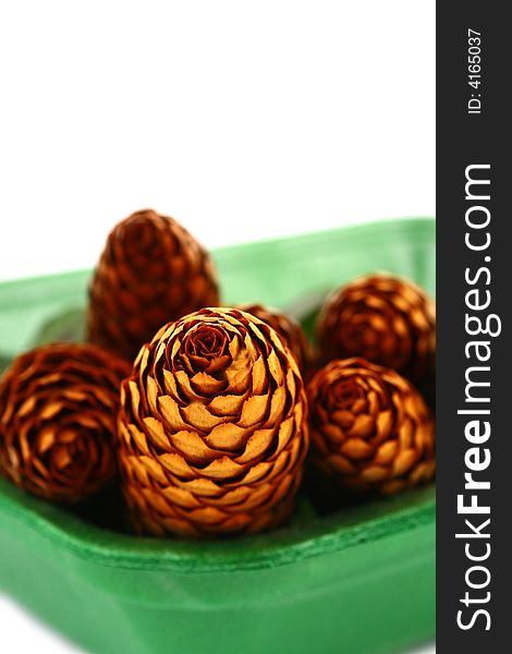 Pine cone isolated on the white background. Pine cone isolated on the white background