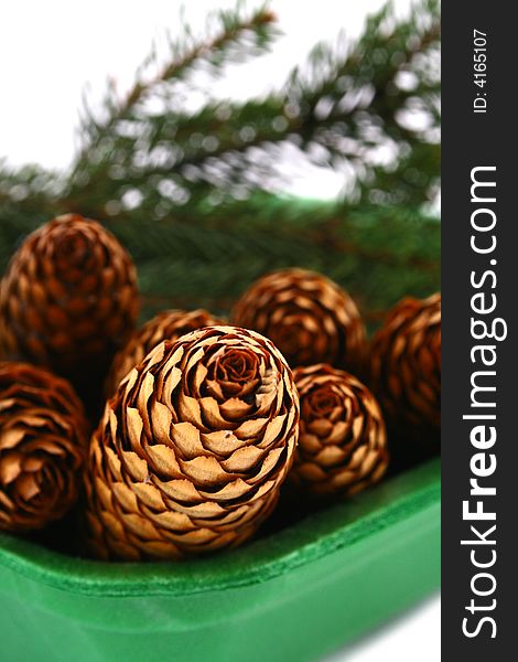 Pine cone isolated on the white background. Pine cone isolated on the white background