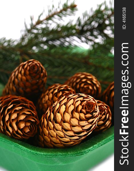 Wood pine fir cones