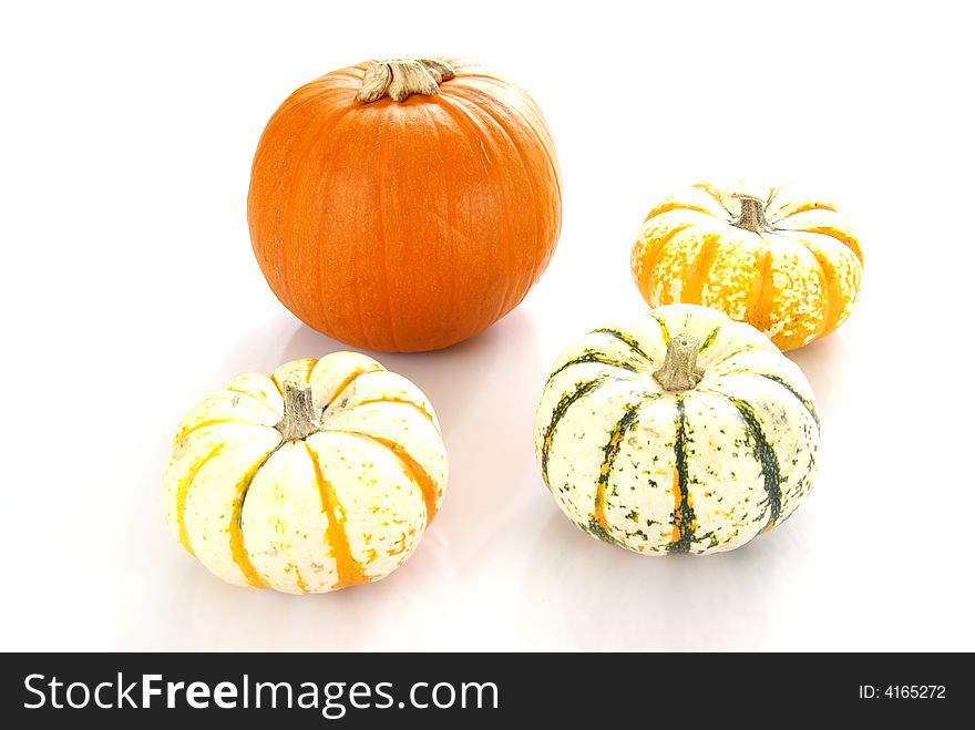 Pumpkins of various colors and sizes.