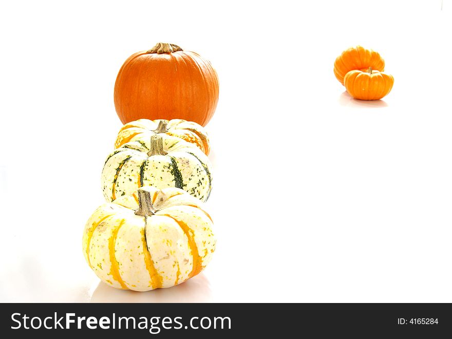 Pumpkins of various colors and sizes.