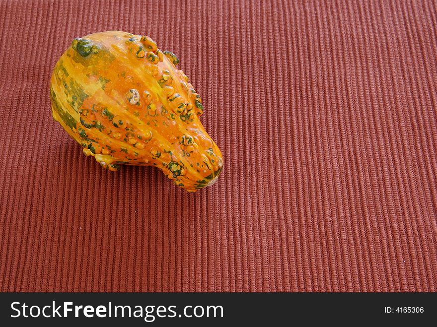Orange gourd with shape, texture, and color on cloth background